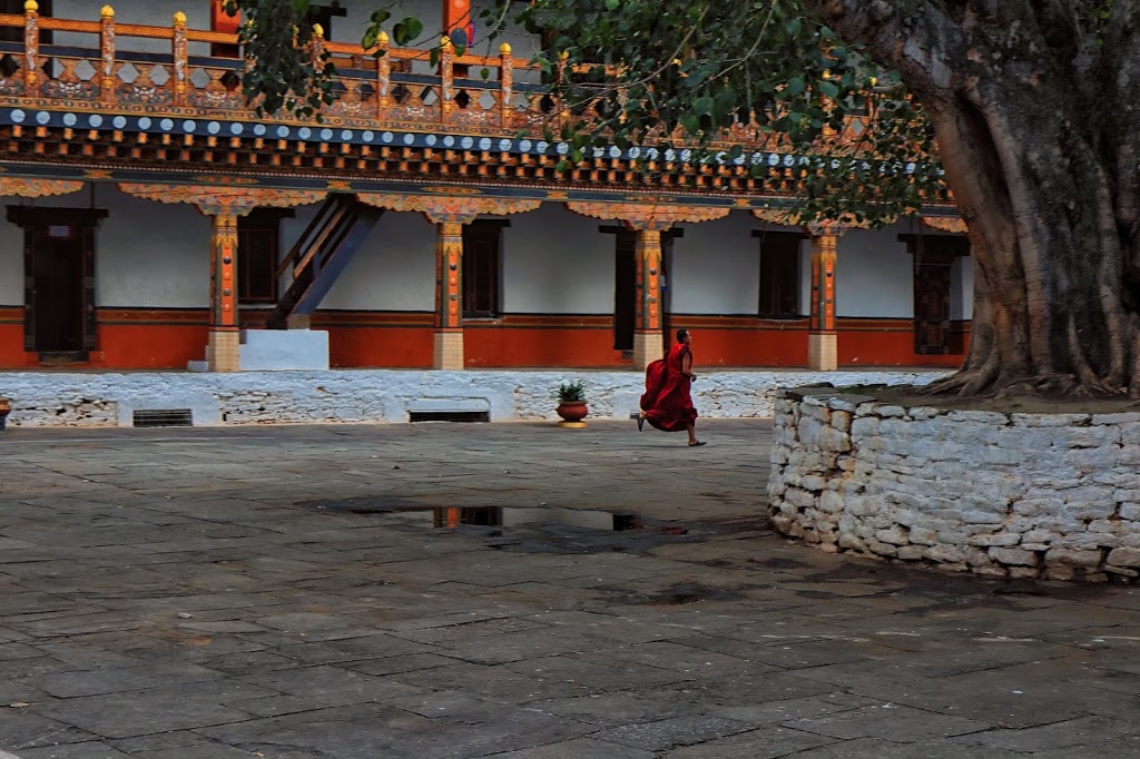 Image of first courtyard inside Punakha Dzong. 