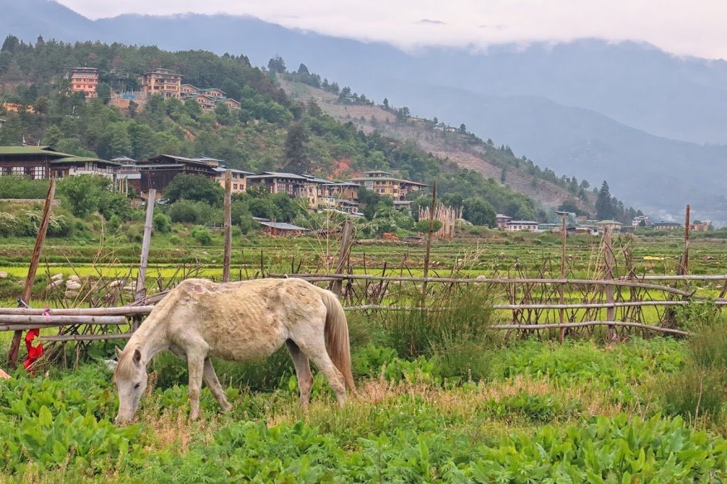 A landscape of rural Bhutan