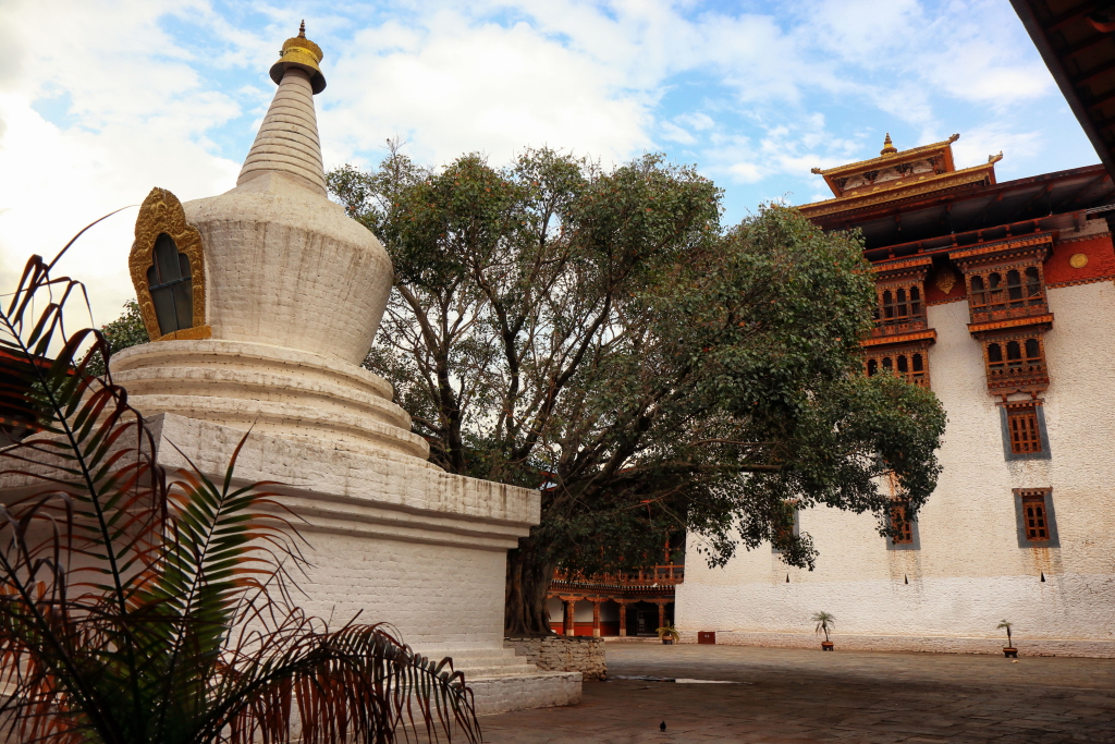 A single image of Stupa and Bodhi tree inside first courtyard of Punakha Dzong.