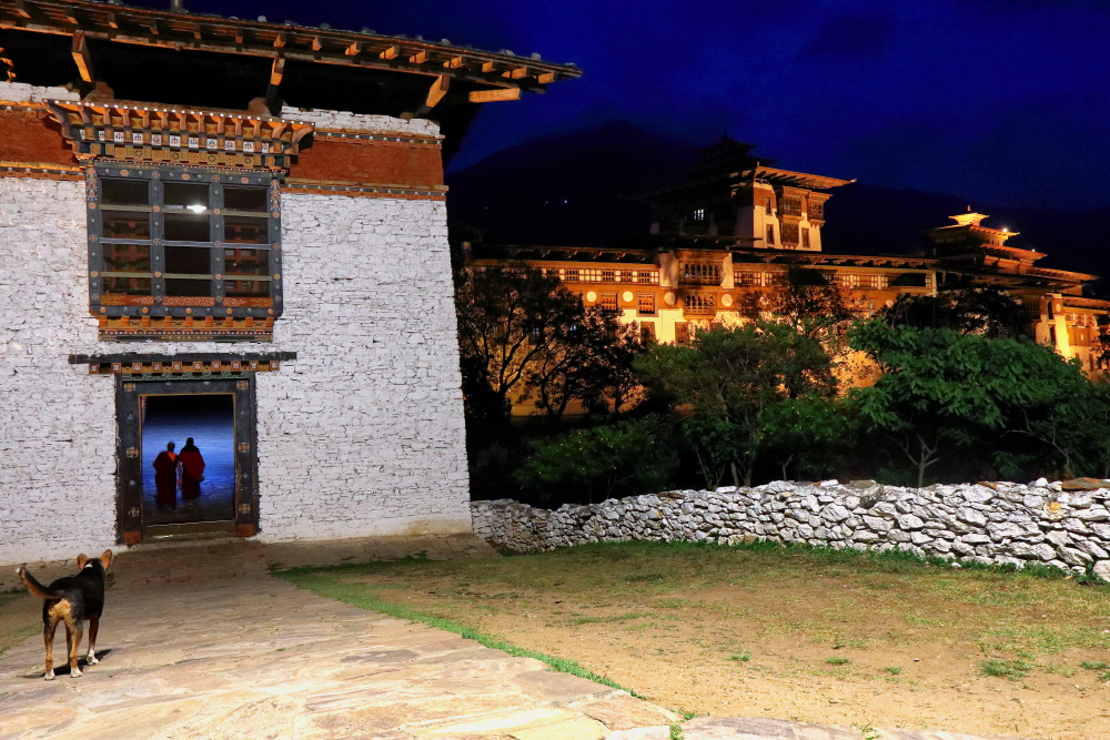 Punakha Dzong at night