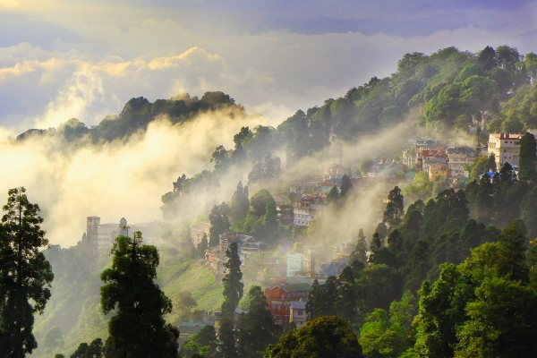 Read more about the article Why You Should Actually Visit Darjeeling in Monsoon
