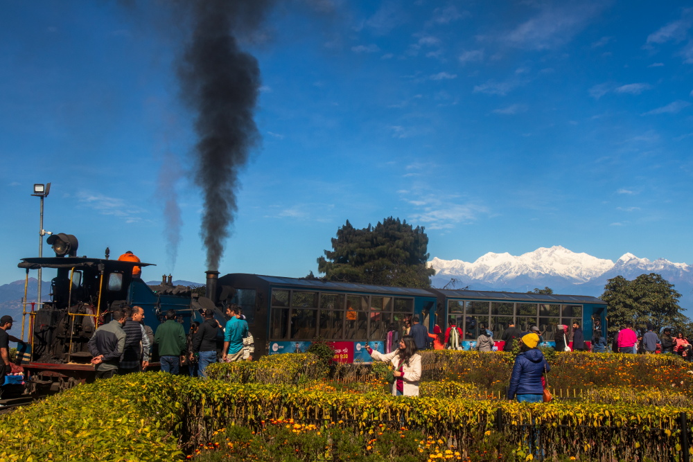 Read more about the article Darjeeling Toy Train: My First Experience of the Famous “Joy Ride”