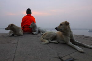 Read more about the article How To Spend A Day On The Ghats of Varanasi