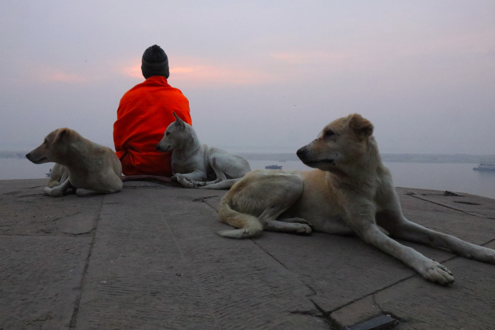 You are currently viewing How To Spend A Day On The Ghats of Varanasi