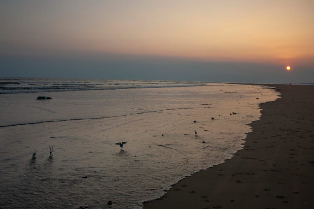 You are currently viewing Best Sea Beaches in India (Part 1)