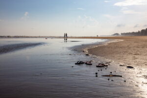 Read more about the article 12 Best Sea Beaches in West Bengal