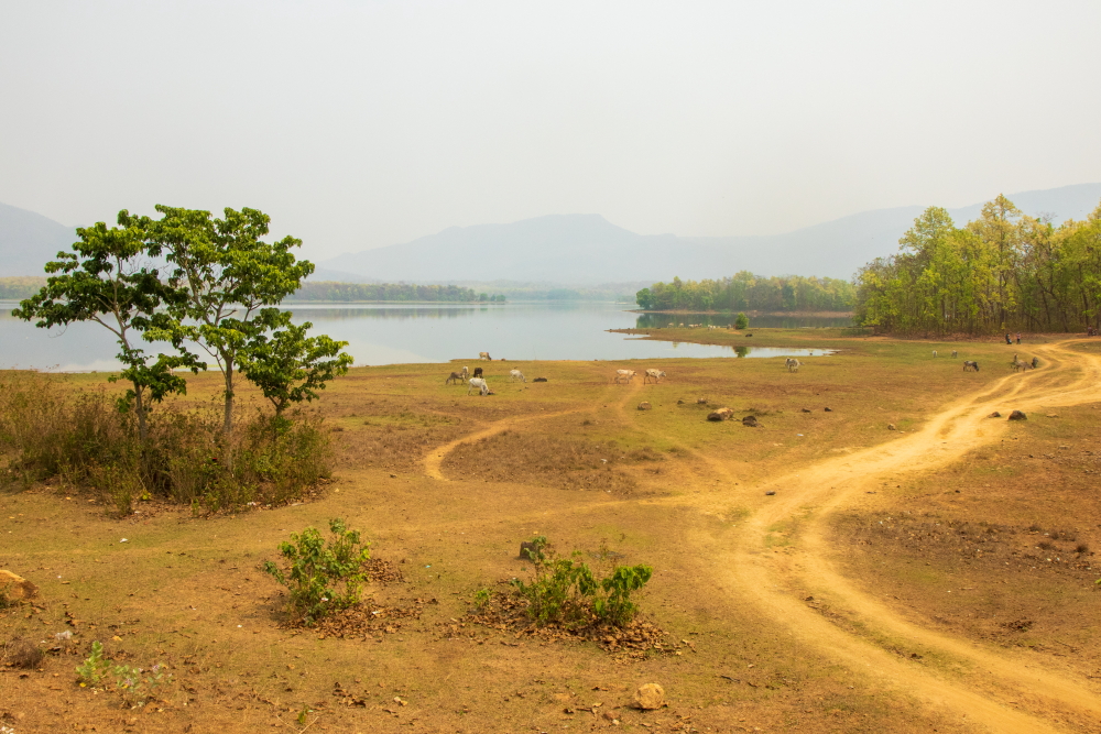 View of Rissia Dam adjacent to Kuldiha forest