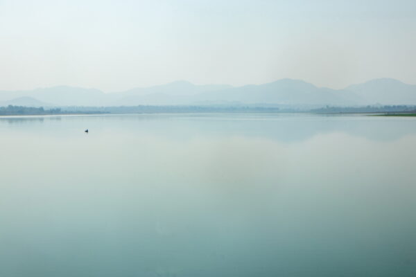 Misty morning by the lake