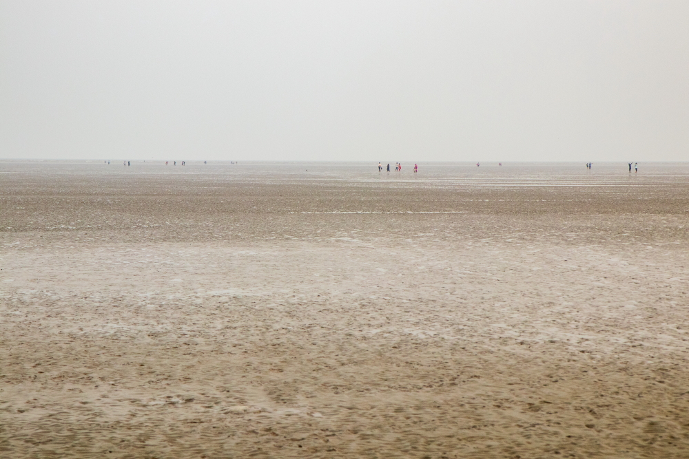 tourists walking in search of the vanishing sea in Chandipur, Odisha
