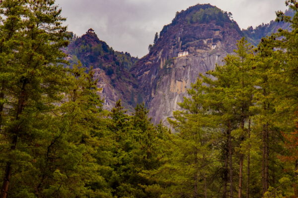 Hanging from a cliff