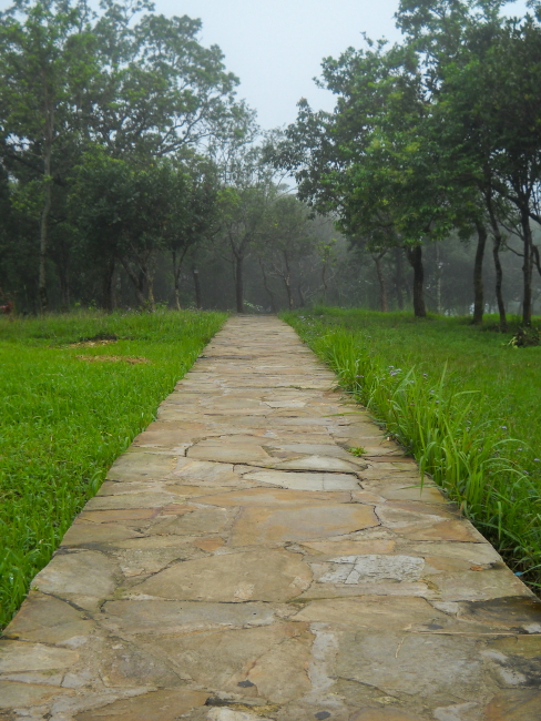 The cobblestone path inside Thangkharang Park in Sohra in Meghalaya, India