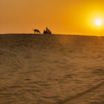 A Magical Sunrise and A Miserable Dune-bashing In The Thar Desert, Rajasthan