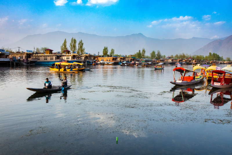 You are currently viewing Life on Dal Lake in Kashmir | A Photo Story