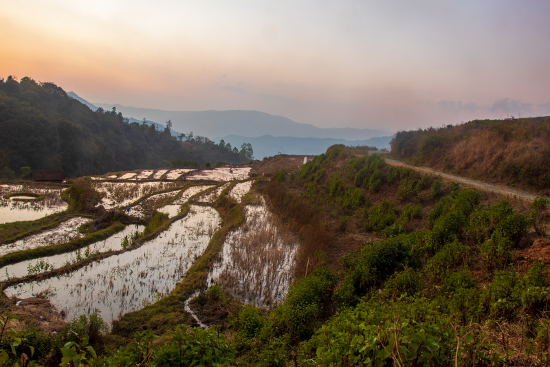 Read more about the article Ukhrul | An Offbeat Hill Station In Manipur | A Travel Guide