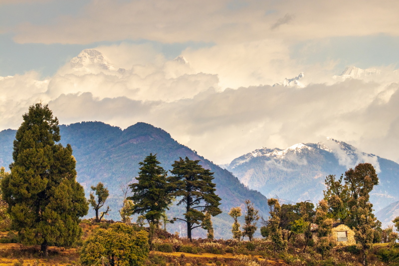 Read more about the article Chaukori In Kumaon | Upclose With The Himalayas