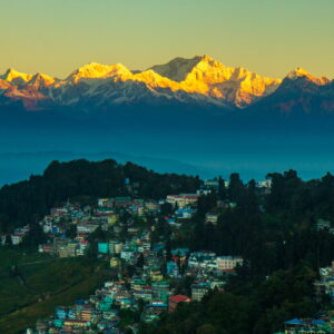 Good morning Darjeeling